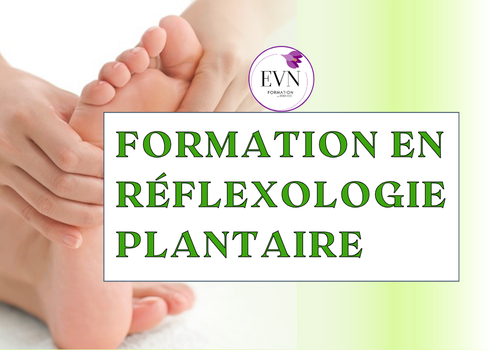 FORMATION EN RÉFLEXOLOGIE PLANTAIRE